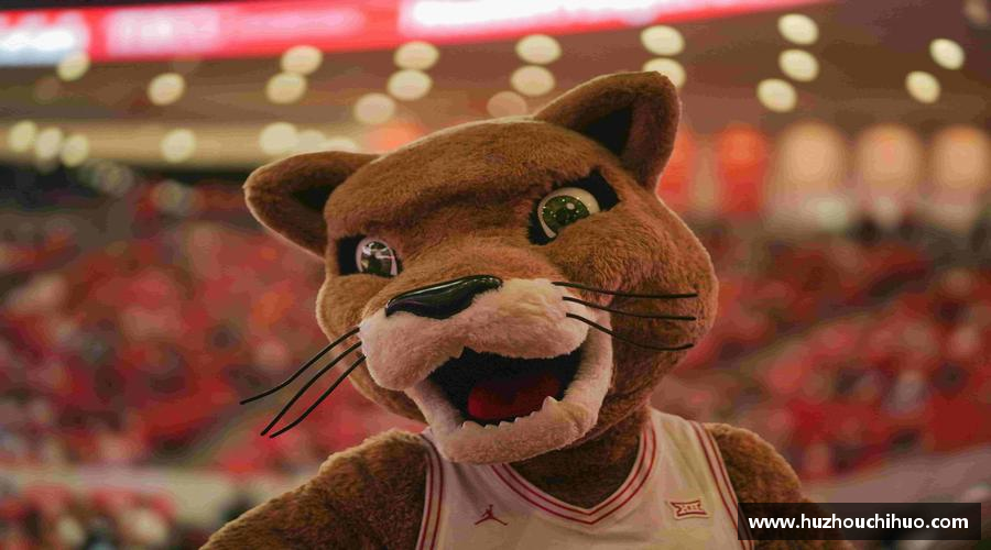 勇攀高峰，梦想飞扬